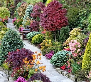 Посадка культурных растений