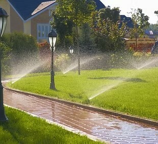 Автоматический полив 